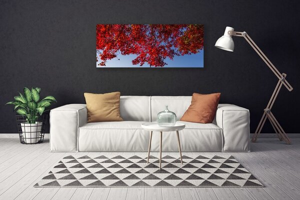 Obraz canvas Rozłożysta Korona Drzewa