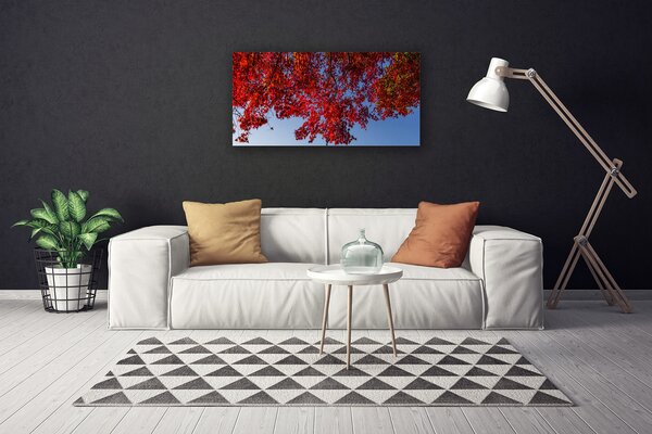 Obraz canvas Rozłożysta Korona Drzewa