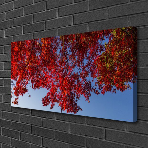 Obraz canvas Rozłożysta Korona Drzewa