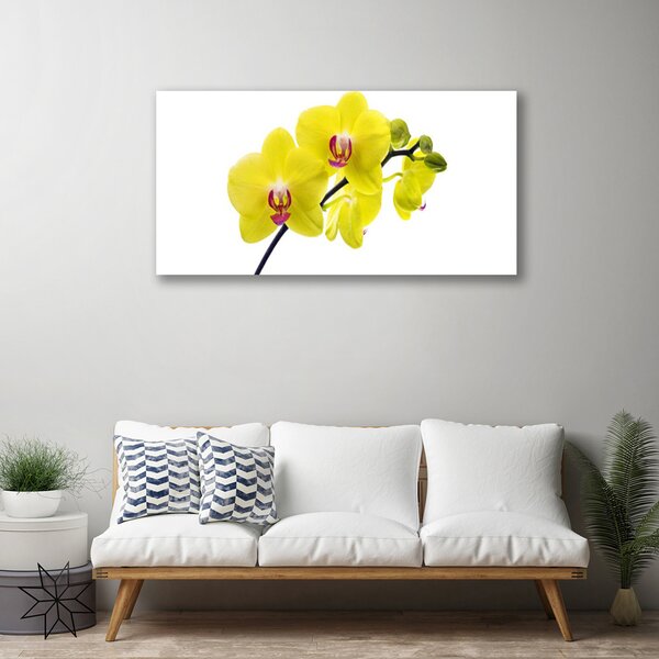 Obraz canvas Wyrafinowana Flora Ogrodowa
