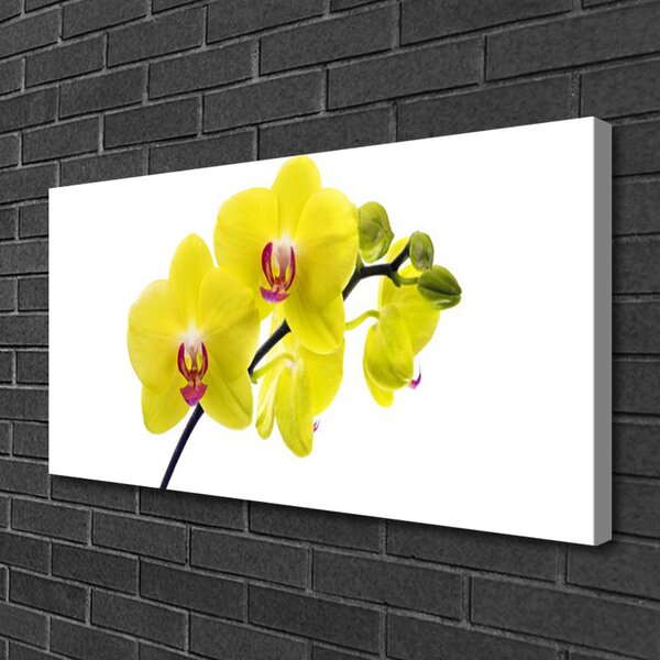 Obraz canvas Wyrafinowana Flora Ogrodowa