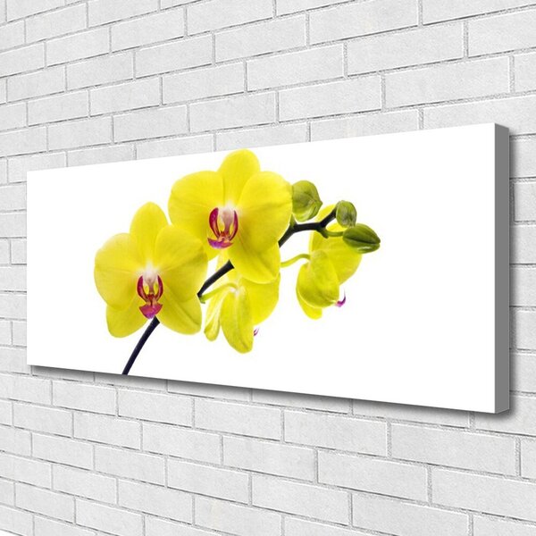 Obraz canvas Wyrafinowana Flora Ogrodowa