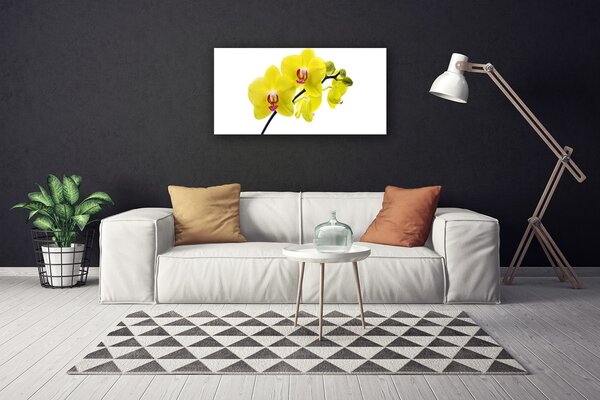 Obraz canvas Wyrafinowana Flora Ogrodowa