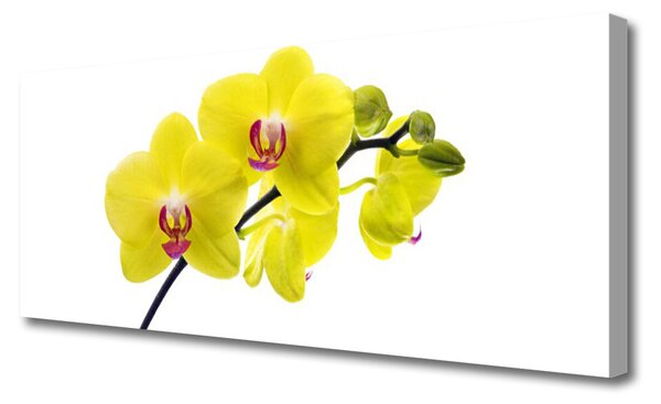 Obraz canvas Wyrafinowana Flora Ogrodowa