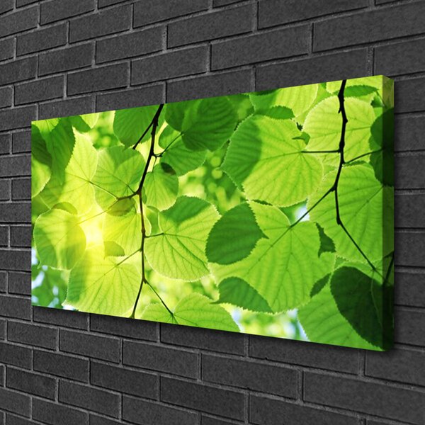 Obraz canvas Botaniczne Liście Paproci
