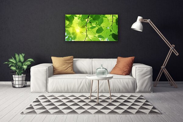 Obraz canvas Botaniczne Liście Paproci