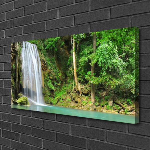 Obraz canvas Leśna Kaskada Wodna