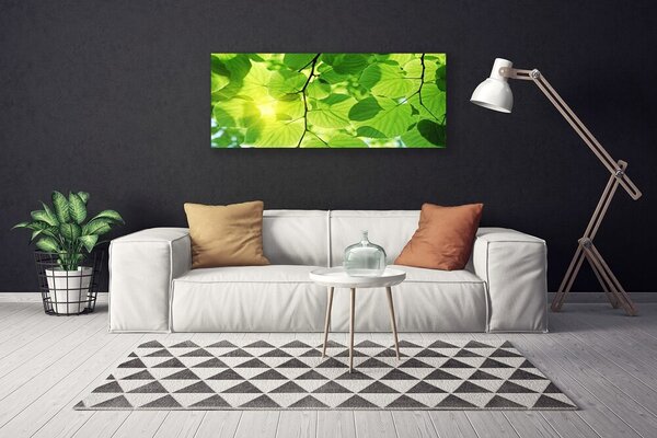 Obraz canvas Botaniczne Liście Paproci
