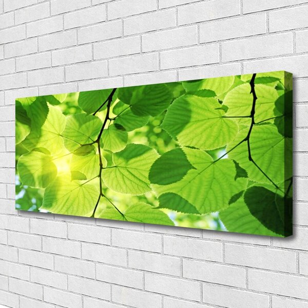 Obraz canvas Botaniczne Liście Paproci