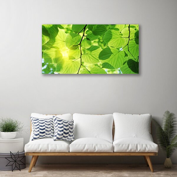 Obraz canvas Botaniczne Liście Paproci