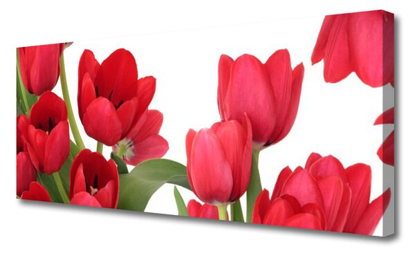 Obraz canvas Świeże Tulipany w Rozkwicie