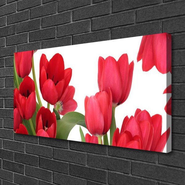 Obraz canvas Świeże Tulipany w Rozkwicie