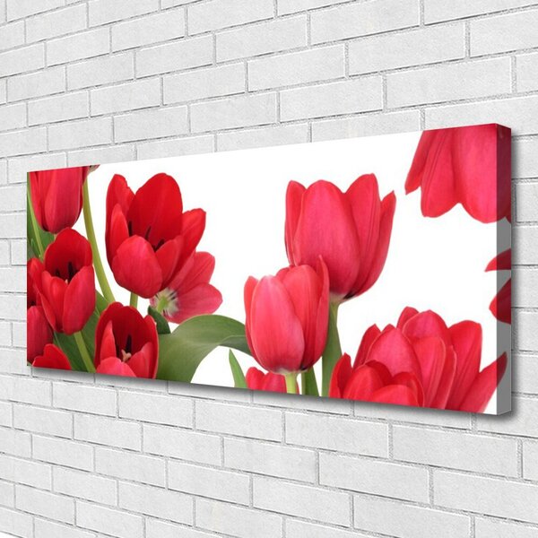Obraz canvas Świeże Tulipany w Rozkwicie