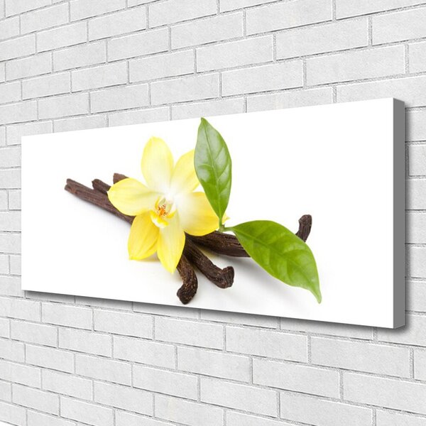 Obraz canvas Botaniczny Portret Wanilii