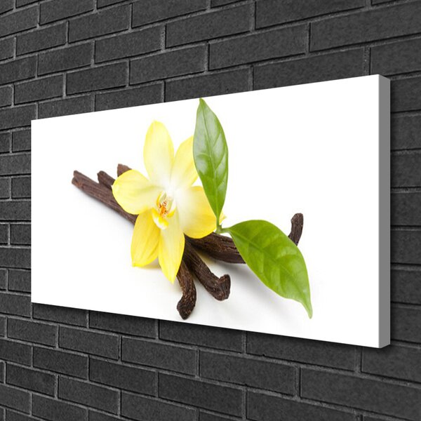 Obraz canvas Botaniczny Portret Wanilii