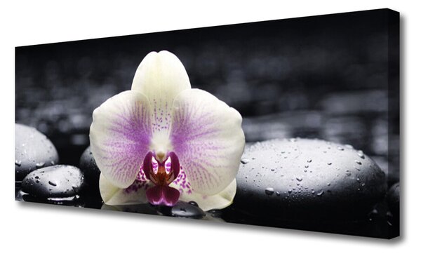 Zdjęcie na płótnie Biała Orchidea na Płótnie