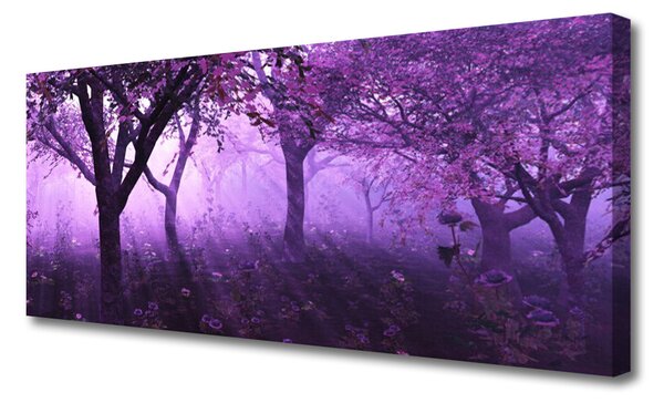 Obraz canvas Sylwetki Drzew o Zmierzchu