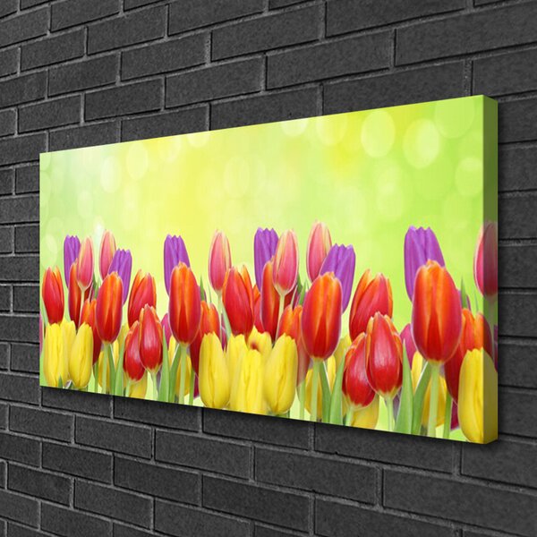 Obraz canvas Klasyczne Holenderskie Tulipany