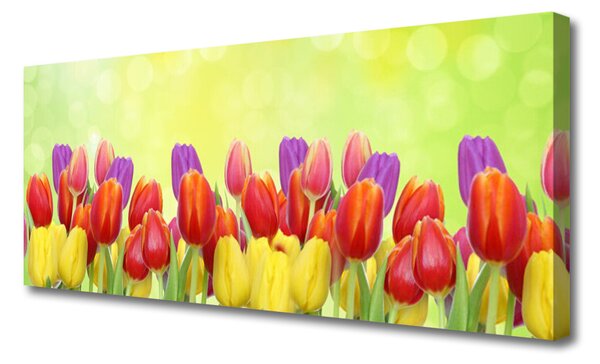 Obraz canvas Klasyczne Holenderskie Tulipany