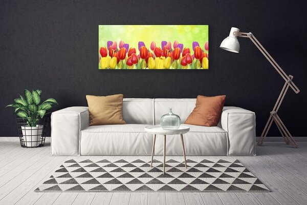 Obraz canvas Klasyczne Holenderskie Tulipany
