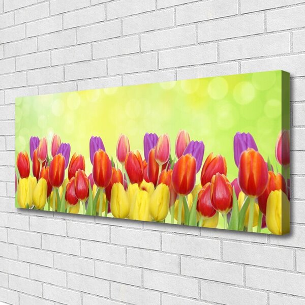Obraz canvas Klasyczne Holenderskie Tulipany