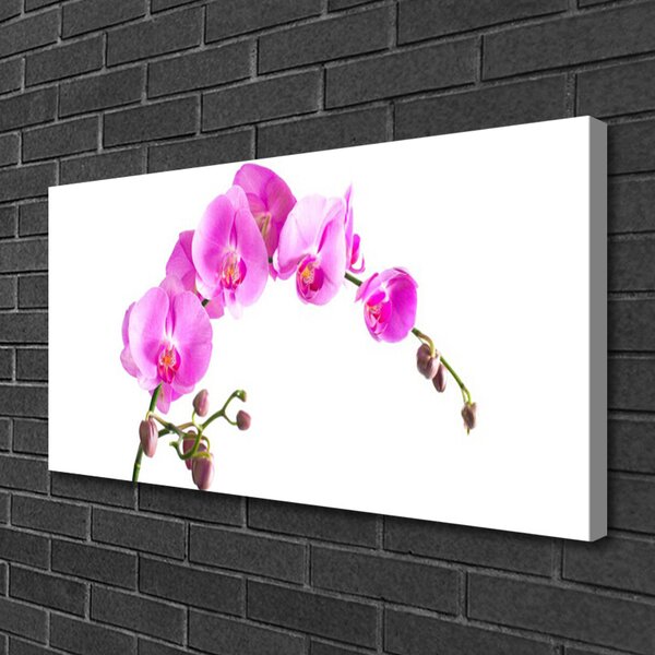 Obraz canvas Wyrafinowany Ogród Botaniczny