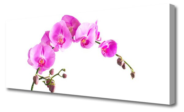 Obraz canvas Wyrafinowany Ogród Botaniczny