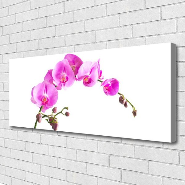 Obraz canvas Wyrafinowany Ogród Botaniczny