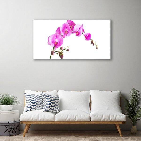 Obraz canvas Wyrafinowany Ogród Botaniczny