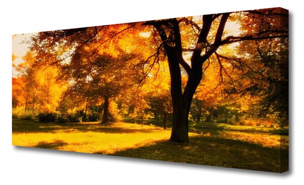 Obraz canvas Złota Jesień w Lesie