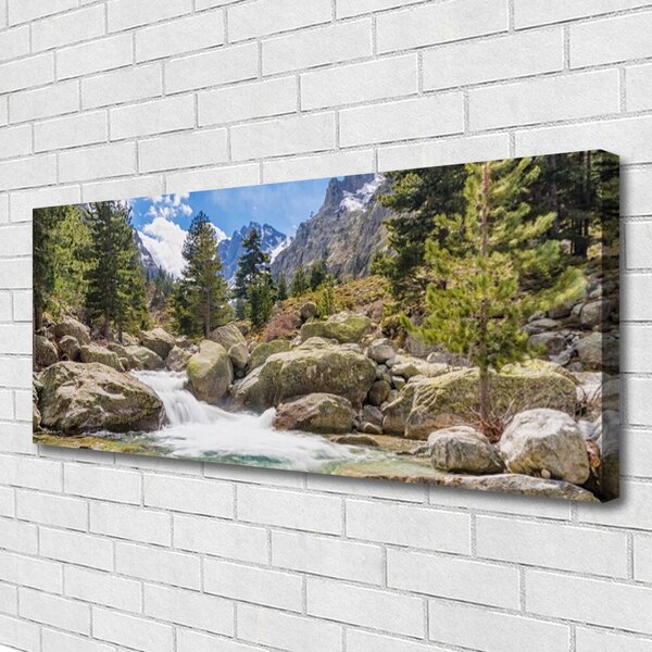 Obraz canvas Dziki Potok w Górskim Lesie