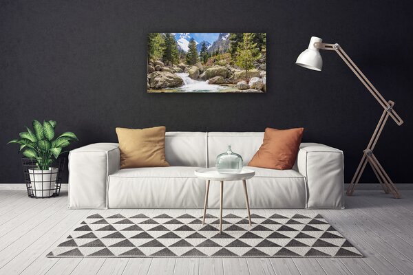 Obraz canvas Dziki Potok w Górskim Lesie