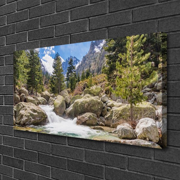 Obraz canvas Dziki Potok w Górskim Lesie