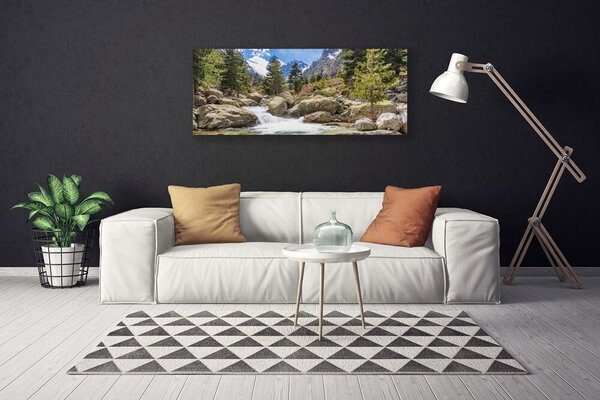 Obraz canvas Dziki Potok w Górskim Lesie
