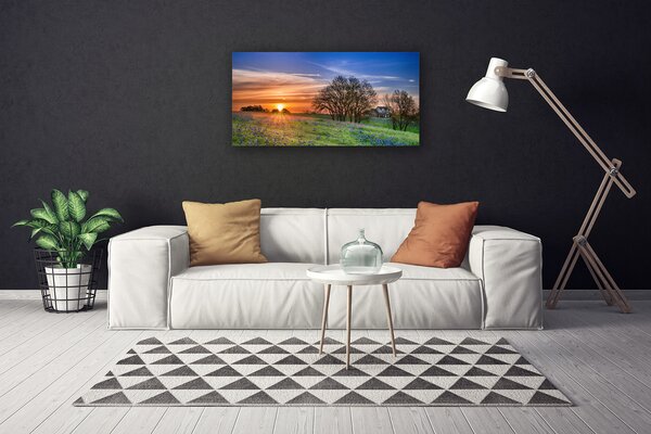 Obraz canvas Słoneczna Polana o Poranku