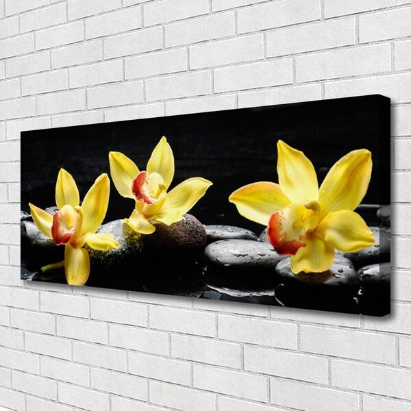 Obraz canvas Królewska Biała Orchidea