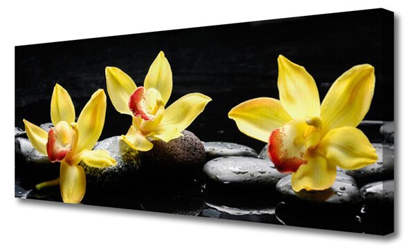 Obraz canvas Królewska Biała Orchidea