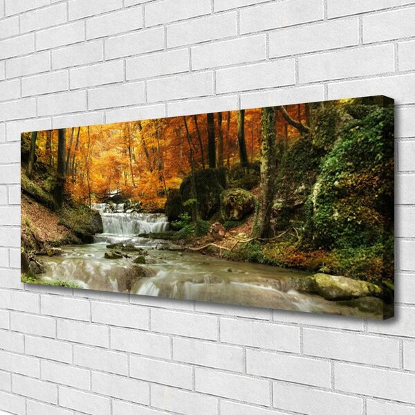 Obraz canvas Ukryty Wodospad w Gęstwinie