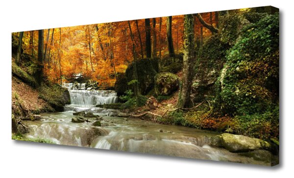 Obraz canvas Ukryty Wodospad w Gęstwinie