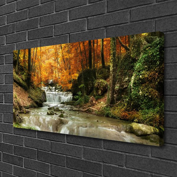 Obraz canvas Ukryty Wodospad w Gęstwinie