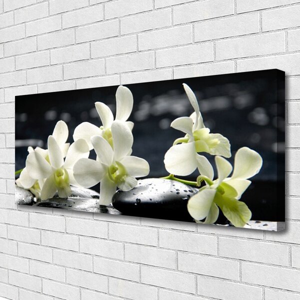 Obraz canvas Elegancja Egzotycznej Orchidei