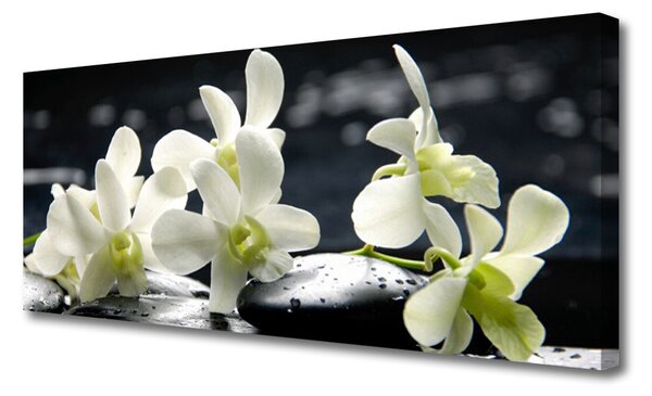 Obraz canvas Elegancja Egzotycznej Orchidei