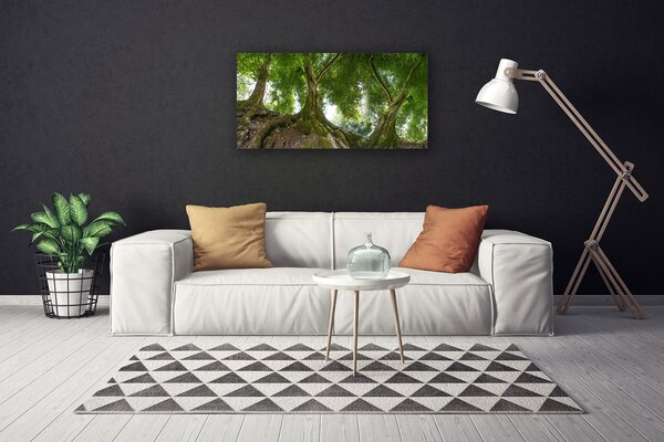 Obraz canvas Korony Rozłożystych Drzew