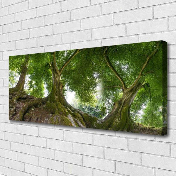 Obraz canvas Korony Rozłożystych Drzew