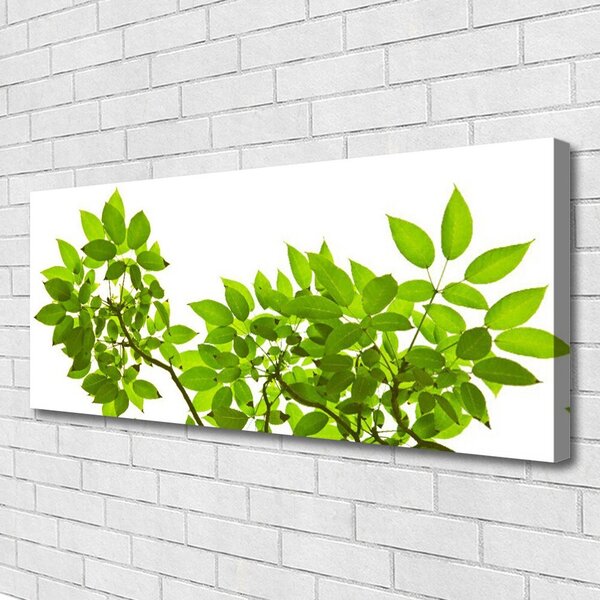 Obraz canvas Botaniczny Detal Roślinny