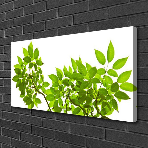 Obraz canvas Botaniczny Detal Roślinny