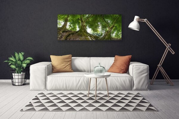 Obraz canvas Korony Rozłożystych Drzew