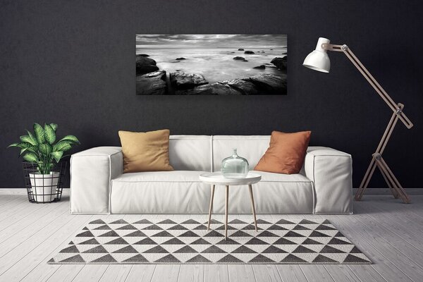 Obraz canvas Surowy Brzeg Oceanu