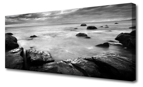 Obraz canvas Surowy Brzeg Oceanu