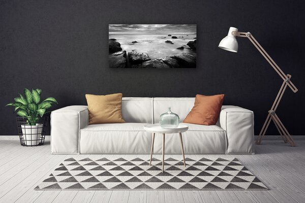 Obraz canvas Surowy Brzeg Oceanu